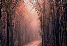 国乒战胜日本队,取得混团世界杯开赛七连胜人民日报客户端.