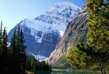 亿万28:新一届中国女排主教练选聘工作今日启动.