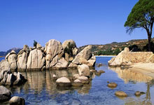 亿万28:2025 LPGA蓝湾大师赛首轮战罢 韩国名将金阿林暂列首位.